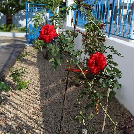 Traditional Town Garden Appartamento *